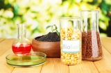 Bio-Kraftstoff – die wichtigsten Informationen